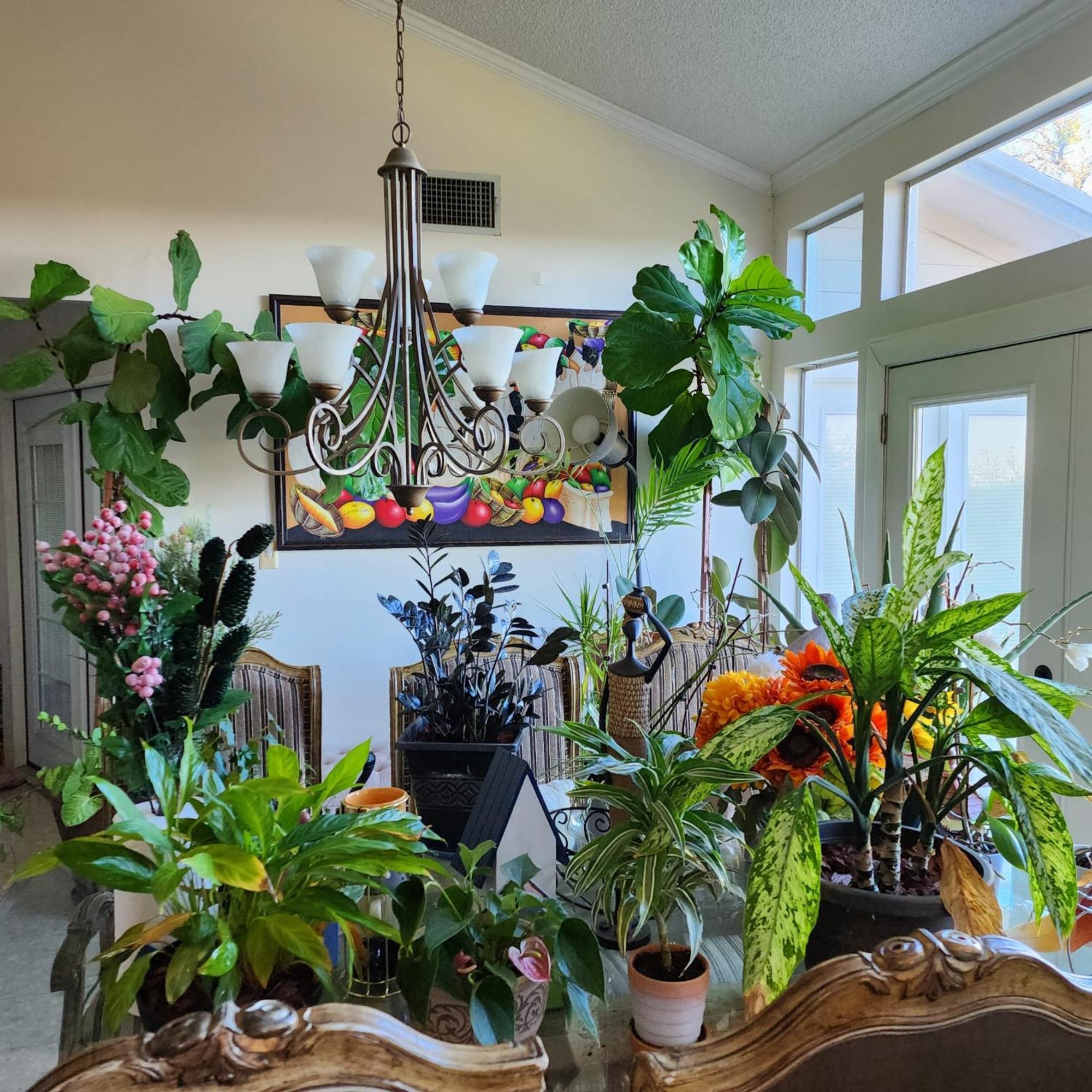 Hilltop Hacienda سان ماركوس المظهر الخارجي الصورة